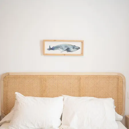 Jardines De Zahora C01 Cádiz